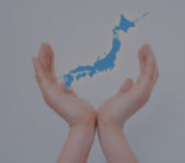 国内